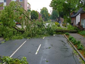 storm, thunderstorm, tree-567664.jpg